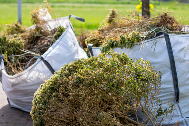 Best Estate Cleanout Services  in Hackleburg, AL